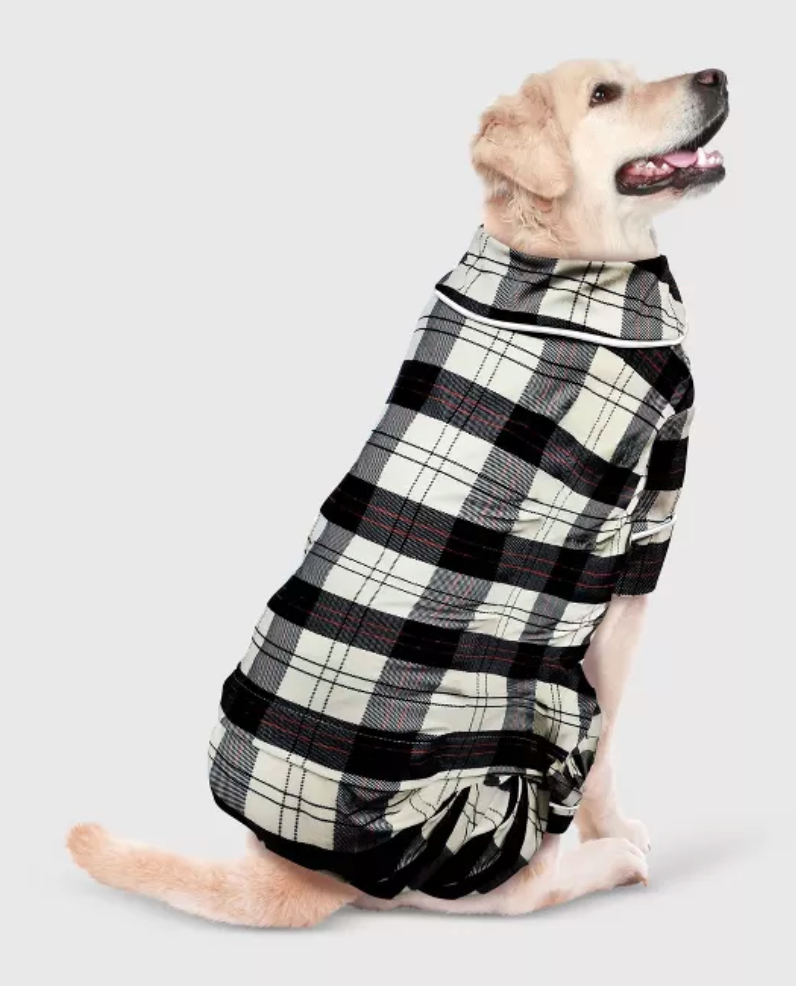 Unique Gift Ideas for Dog Lovers and Owners 2020 hello emily erin